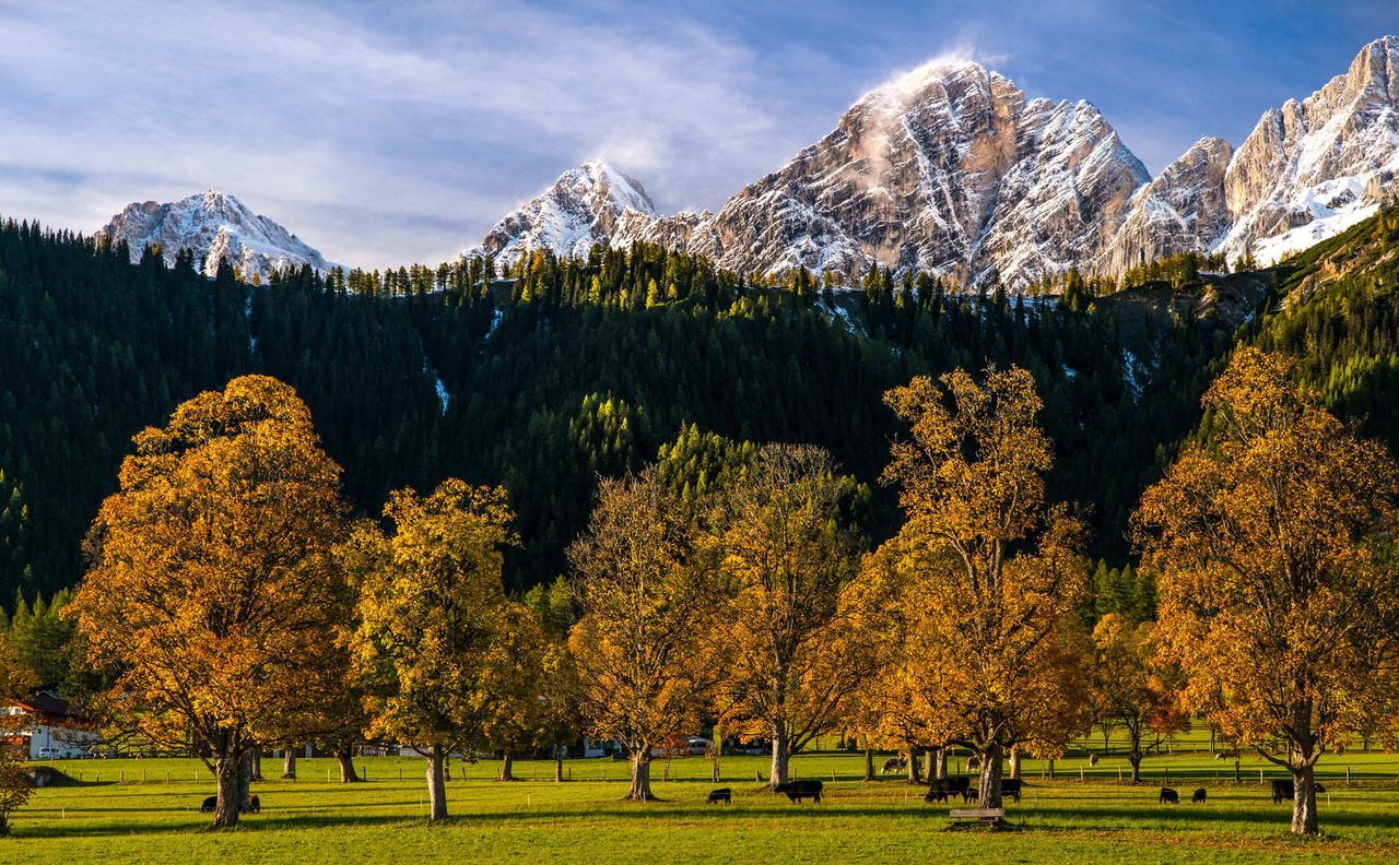 Matschner 4* Ramsau am Dachstein